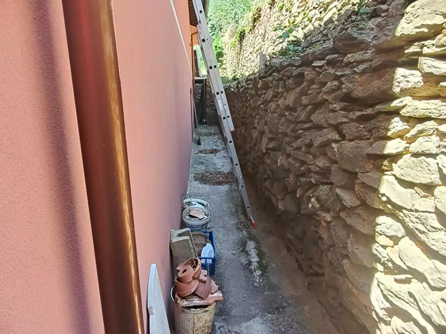 Immagine 30 di Casa colonica in vendita  a Calci