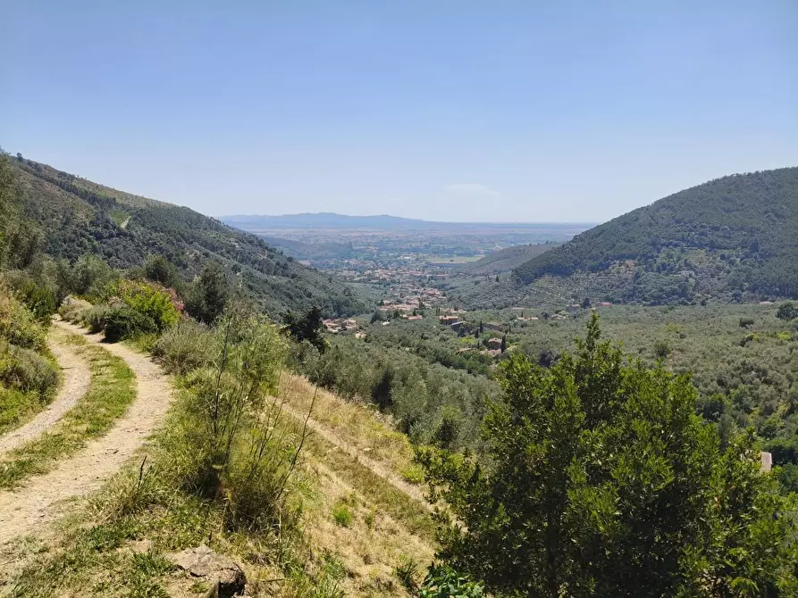Immagine 36 di Casa colonica in vendita  a Calci
