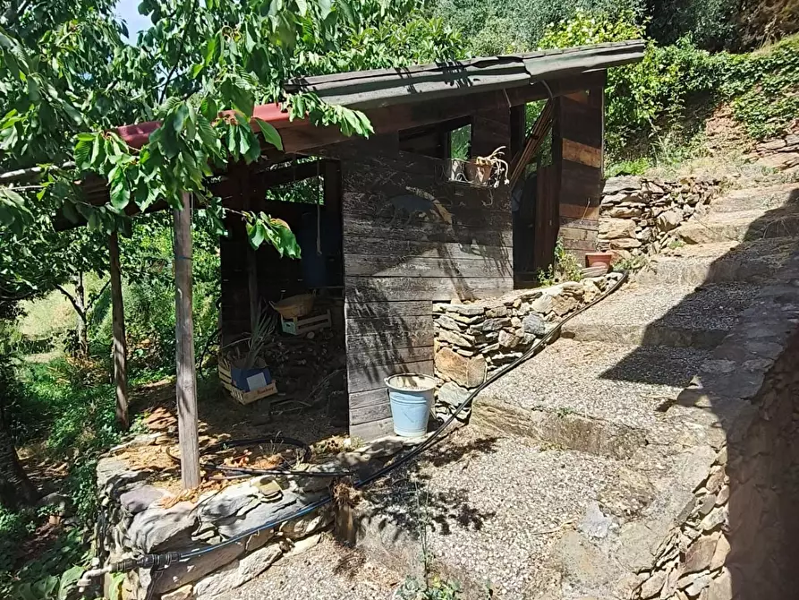 Immagine 37 di Casa colonica in vendita  a Calci