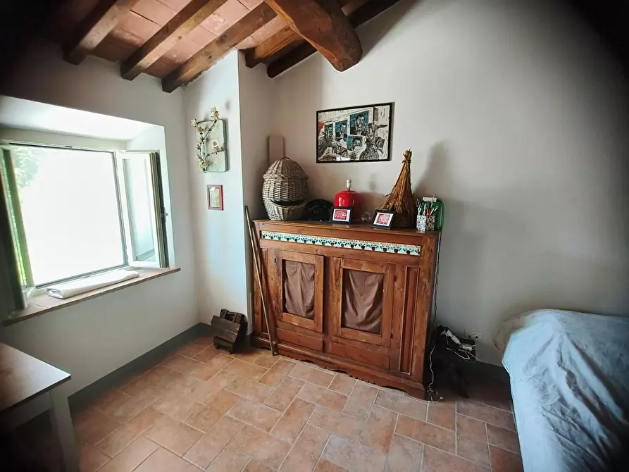 Immagine 11 di Casa colonica in vendita  a Calci