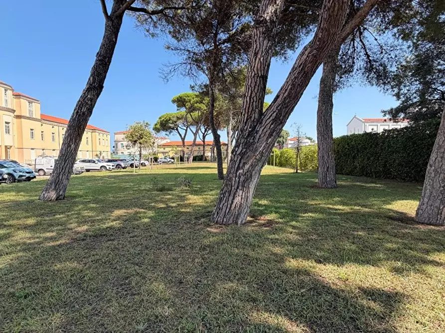 Immagine 19 di Appartamento in vendita  a Pisa