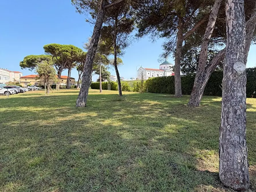 Immagine 18 di Appartamento in vendita  a Pisa