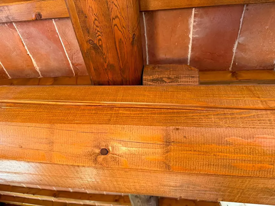 Immagine 9 di Appartamento in vendita  a San Miniato