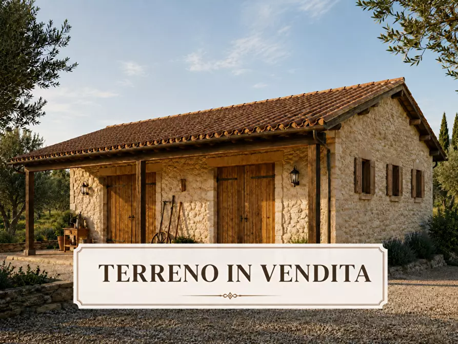 Immagine 1 di Terreno agricolo in vendita  a San Giuliano Terme