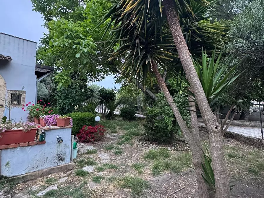 Immagine 9 di Villetta a schiera in vendita  a Partinico