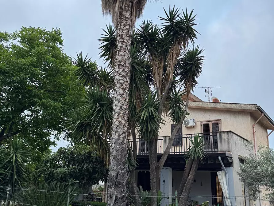 Immagine 13 di Villetta a schiera in vendita  a Partinico