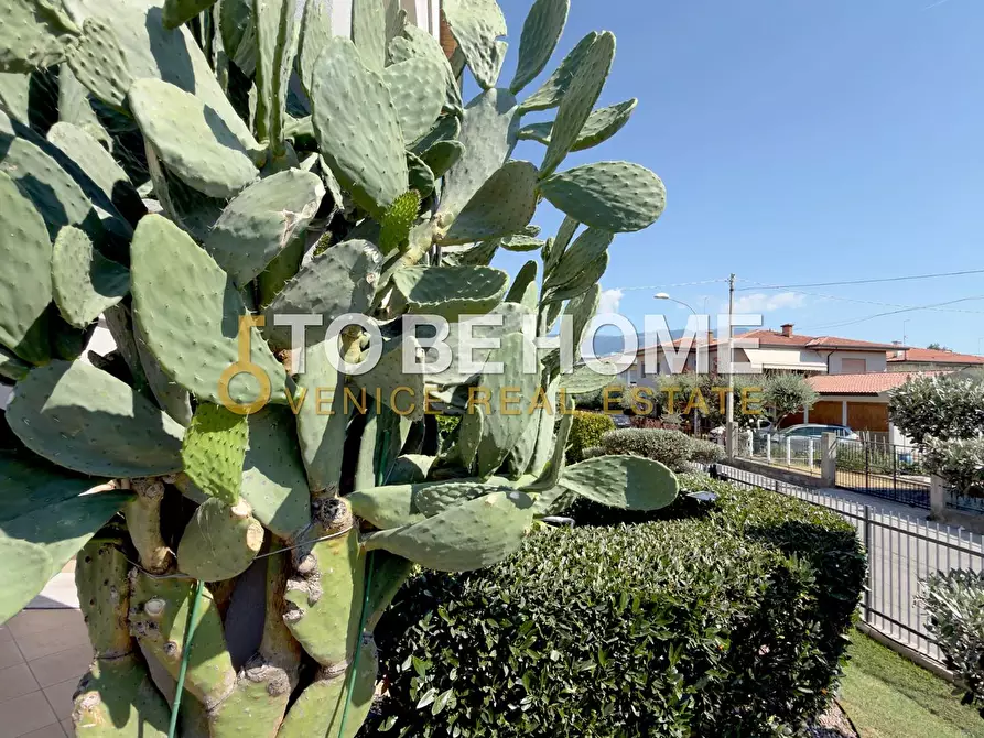 Immagine 5 di Casa indipendente in vendita  a Bassano Del Grappa