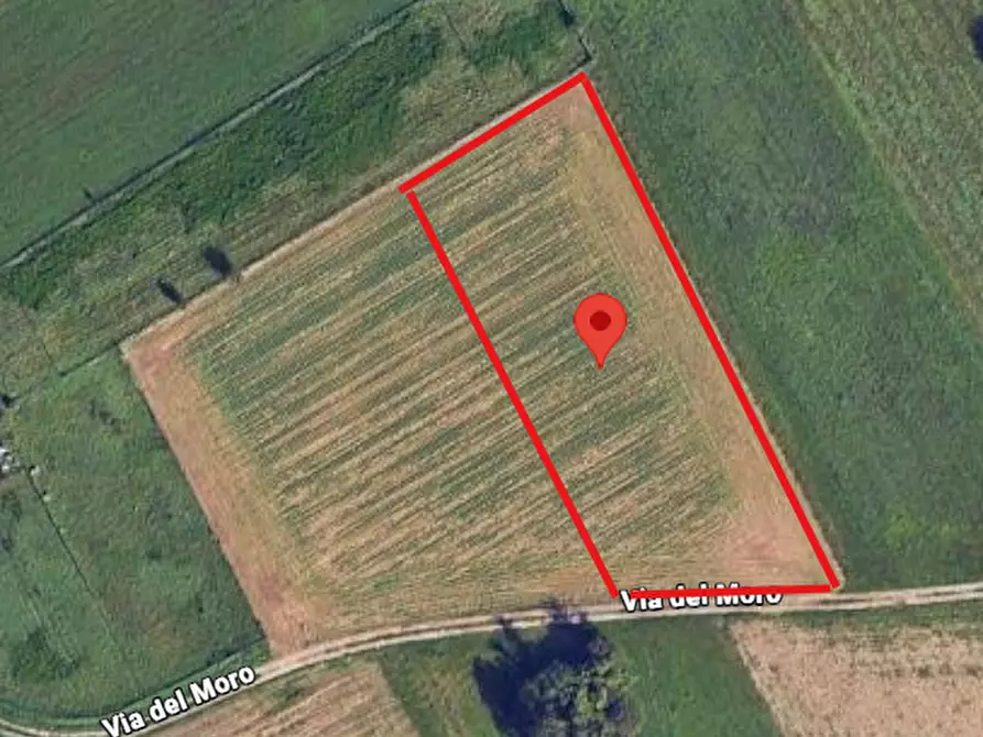 Immagine 1 di Terreno agricolo in vendita  a Gerenzano