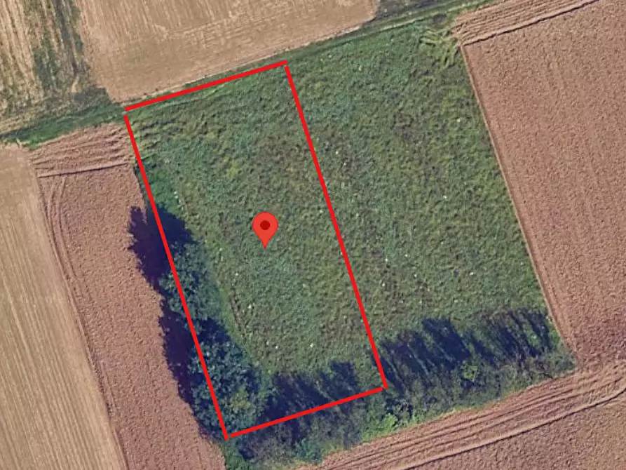Immagine 1 di Terreno agricolo in vendita  a Gerenzano