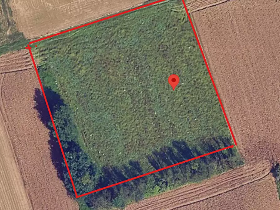 Immagine 2 di Terreno agricolo in vendita  a Gerenzano