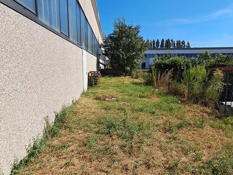 Immagine 7 di Attività artigianale in affitto  a Calcinaia
