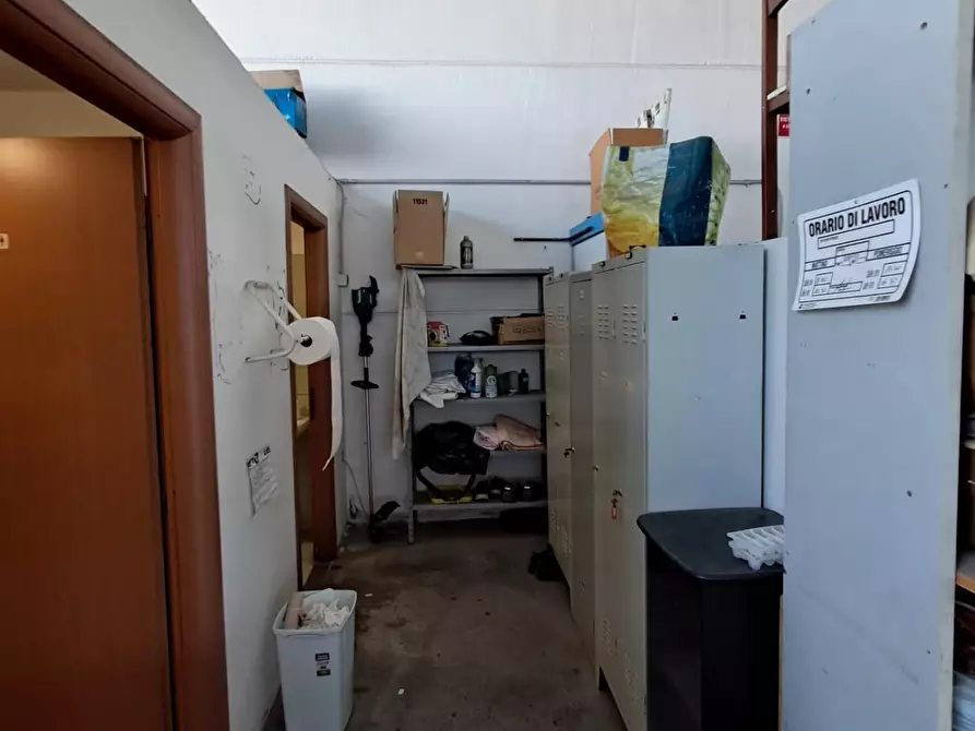 Immagine 6 di Attività artigianale in affitto  a Calcinaia