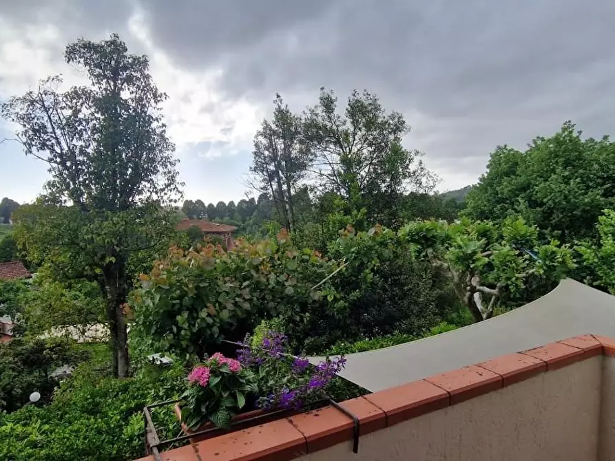 Immagine 14 di Casa bifamiliare in vendita  a Camaiore