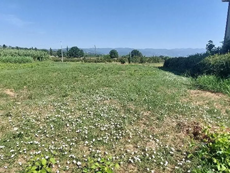 Immagine 5 di Terreno industriale in vendita  a Serravalle Pistoiese