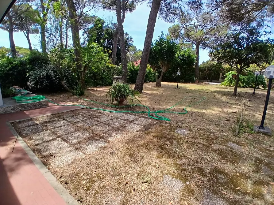 Immagine 2 di Villa in vendita  a Livorno