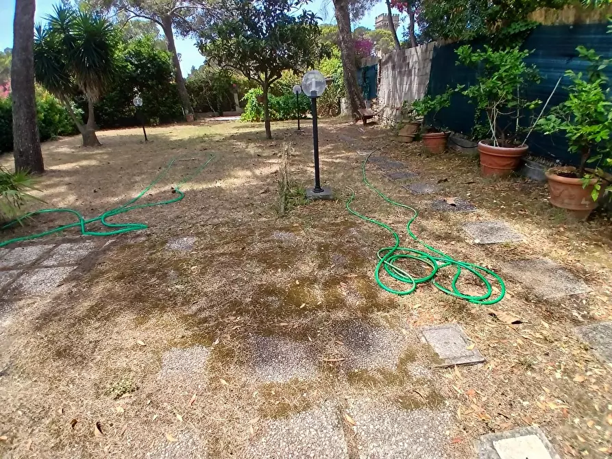 Immagine 4 di Villa in vendita  a Livorno