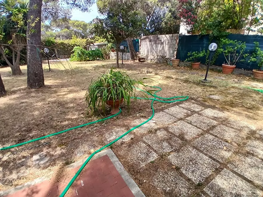 Immagine 3 di Villa in vendita  a Livorno
