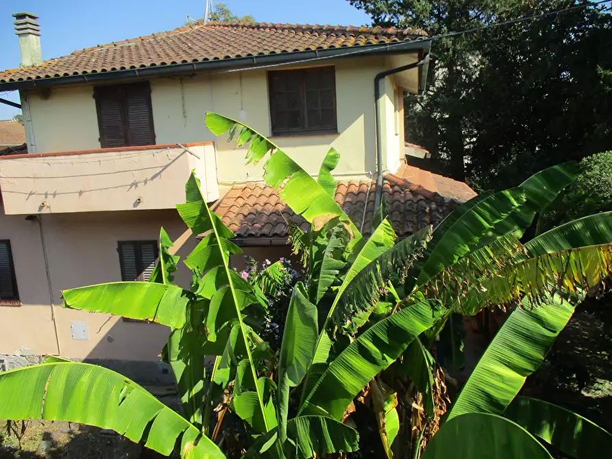 Immagine 5 di Casa indipendente in vendita  a Santa Maria A Monte
