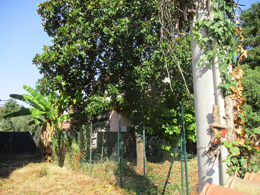 Immagine 2 di Casa indipendente in vendita  a Santa Maria A Monte