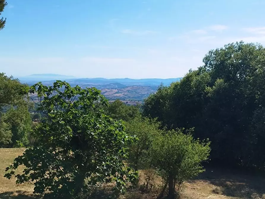 Immagine 10 di Villa in vendita  a Scansano