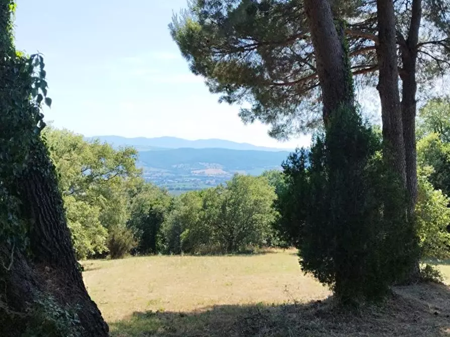 Immagine 9 di Villa in vendita  a Scansano