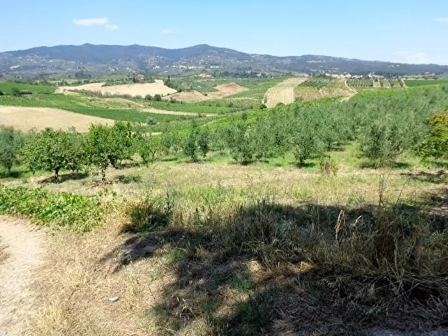 Immagine 4 di Casa colonica in vendita  a Vinci