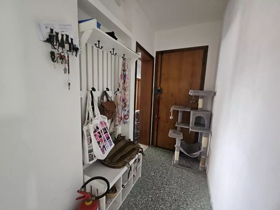 Immagine 7 di Appartamento in vendita  a Pontedera