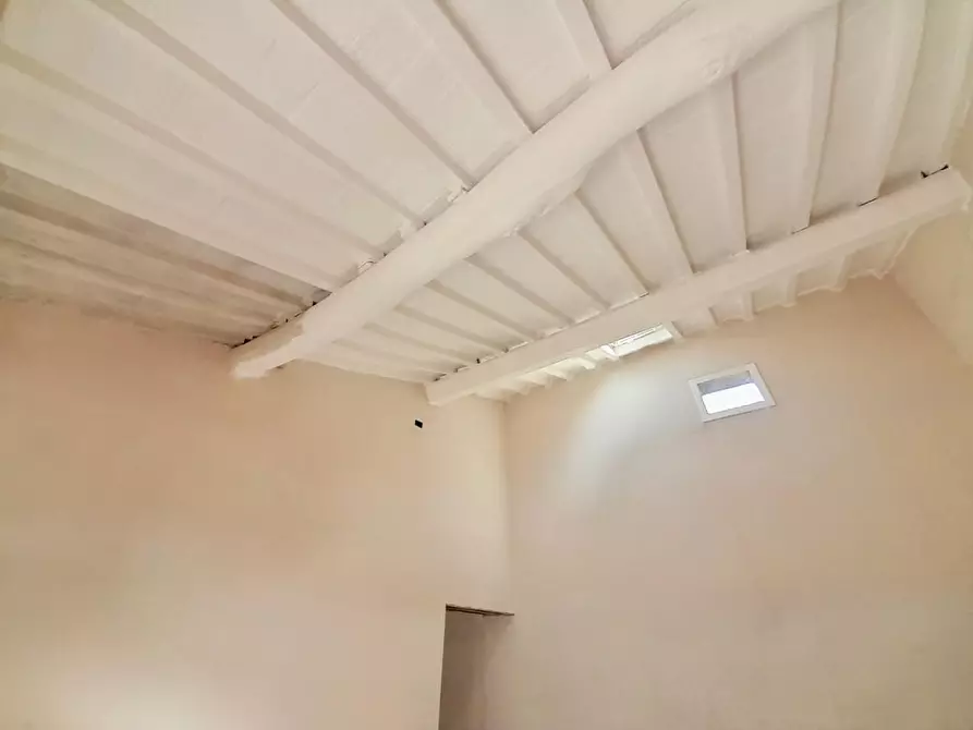 Immagine 4 di Villa in vendita  a Pisa