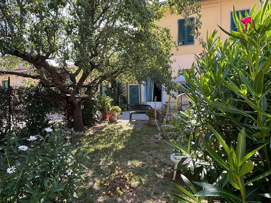 Immagine 2 di Terratetto in vendita  a San Giuliano Terme