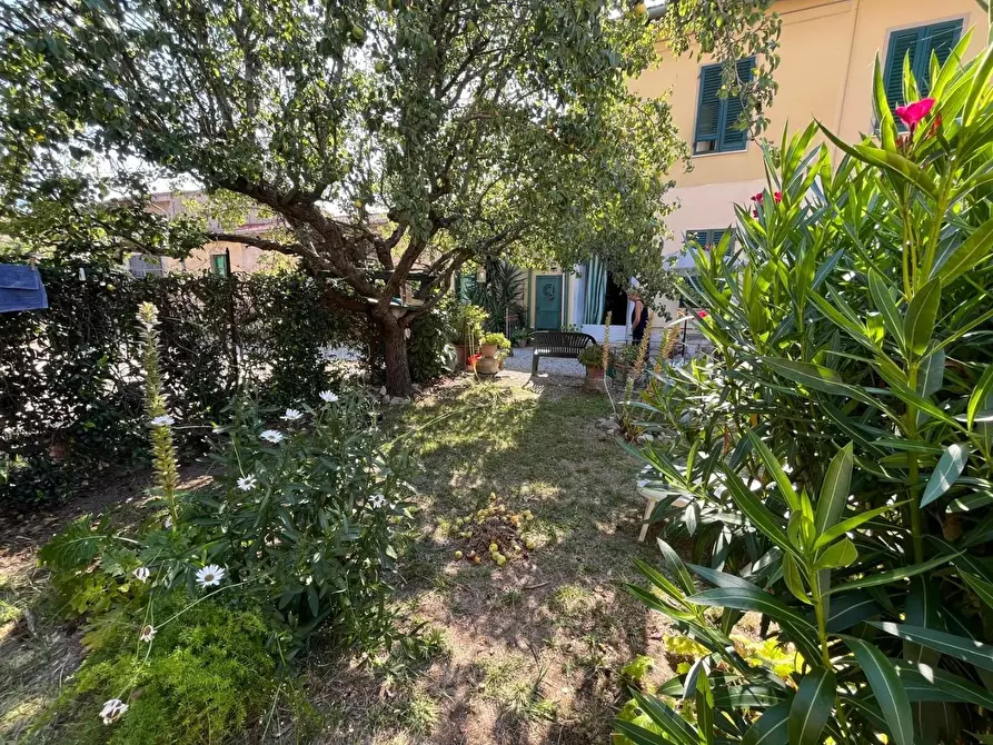 Immagine 3 di Terratetto in vendita  a San Giuliano Terme