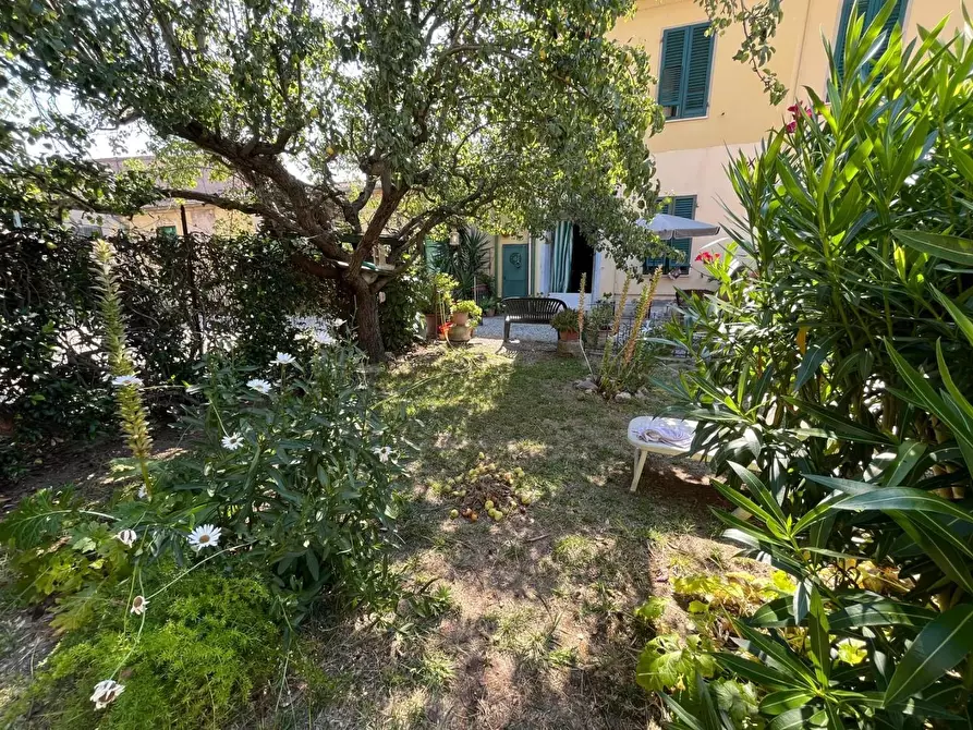 Immagine 1 di Terratetto in vendita  a San Giuliano Terme