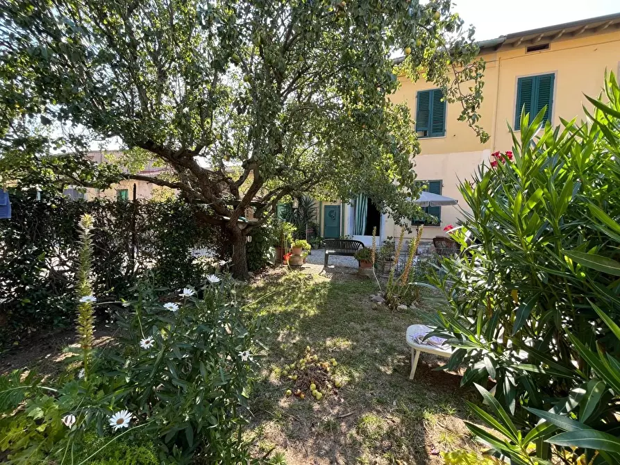 Immagine 25 di Terratetto in vendita  a San Giuliano Terme