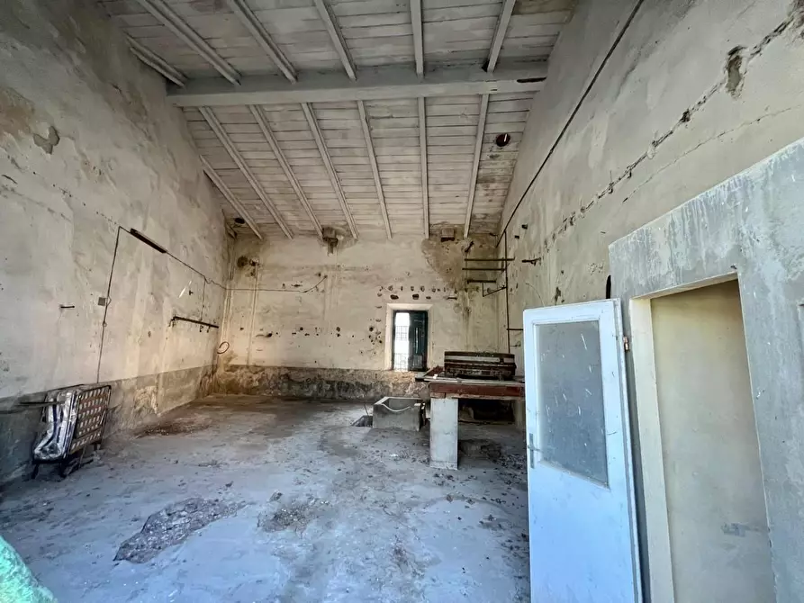 Immagine 5 di Magazzino in vendita  a San Giuliano Terme