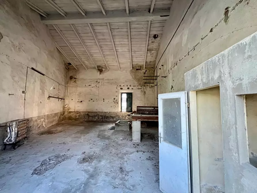 Immagine 7 di Magazzino in vendita  a San Giuliano Terme