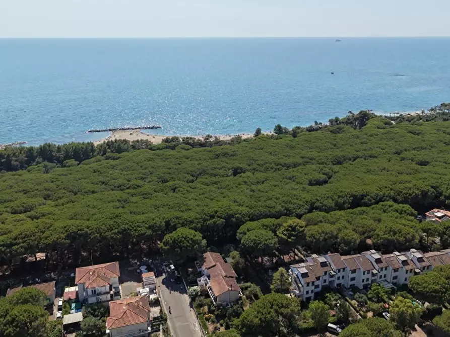 Immagine 5 di Villetta a schiera in vendita  a Rosignano Marittimo