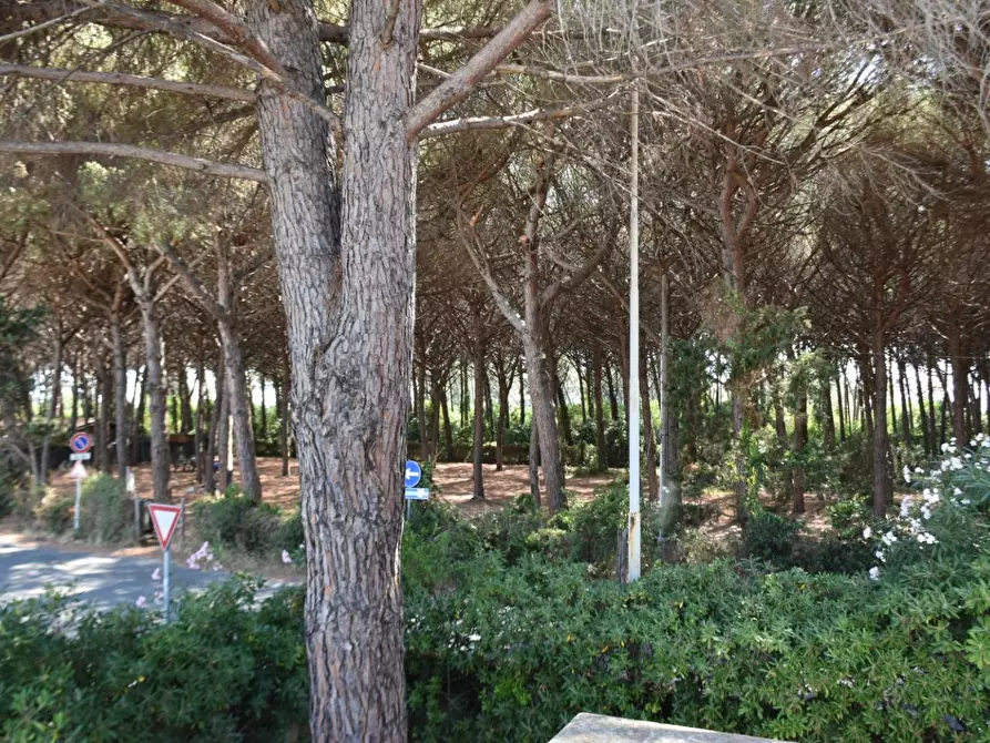 Immagine 14 di Villetta a schiera in vendita  a Rosignano Marittimo