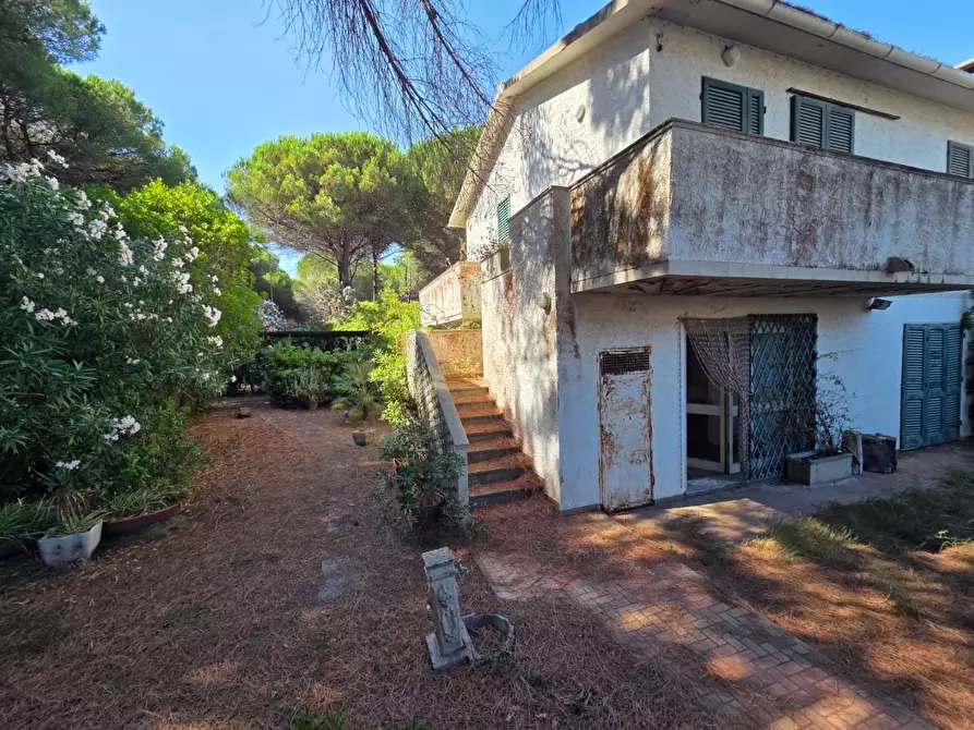 Immagine 3 di Villetta a schiera in vendita  a Rosignano Marittimo