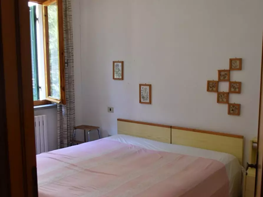 Immagine 17 di Villetta a schiera in vendita  a Rosignano Marittimo