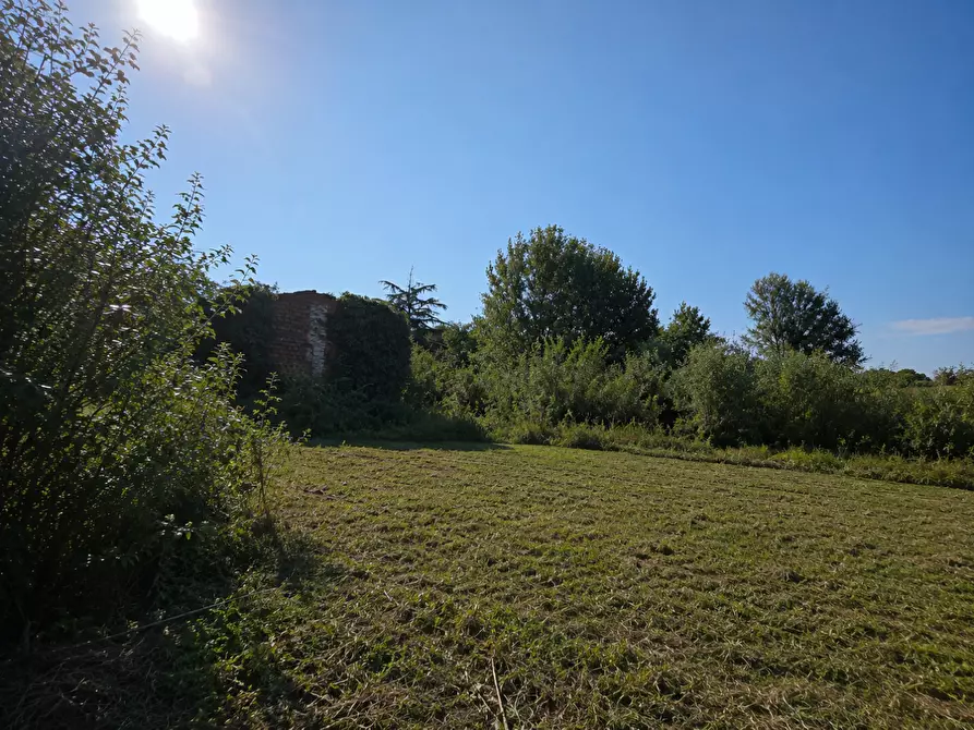 Immagine 4 di Terreno residenziale in vendita  a Capannori