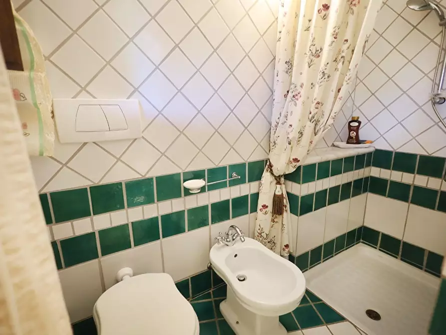 Immagine 20 di Casa bifamiliare in vendita  a Fauglia