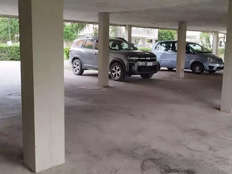 Immagine 5 di Appartamento in vendita  a Grosseto