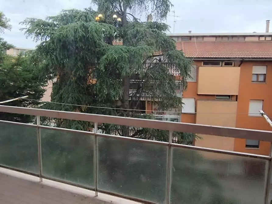 Immagine 3 di Appartamento in vendita  a Grosseto