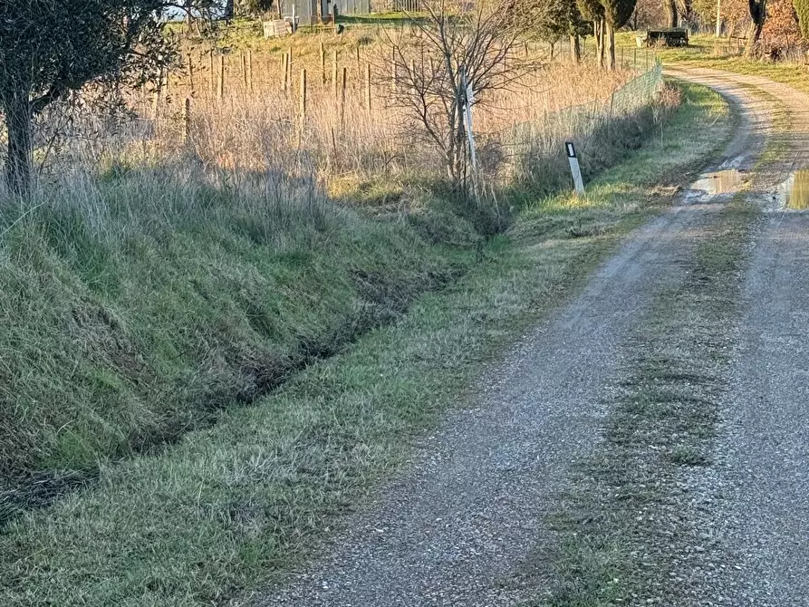 azienda agricola in vendita a Cinigiano