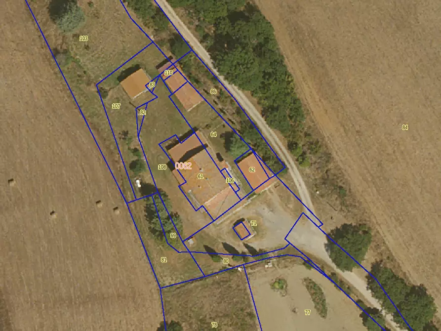 Immagine 2 di Azienda agricola in vendita  a Cinigiano