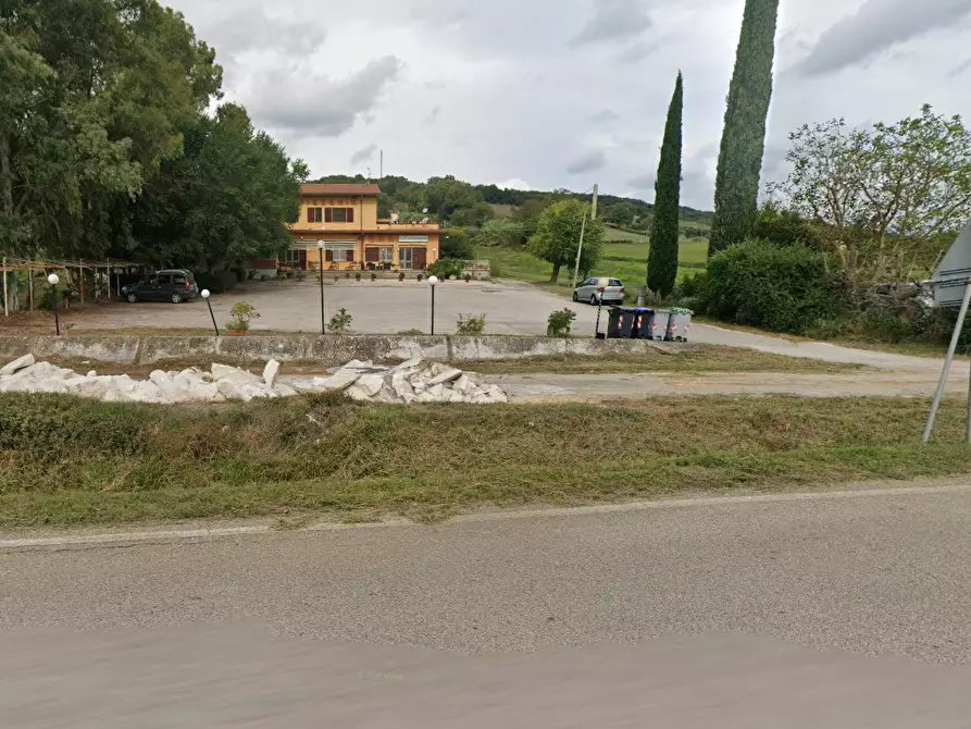 Immagine 3 di Casa indipendente in vendita  a Campagnatico