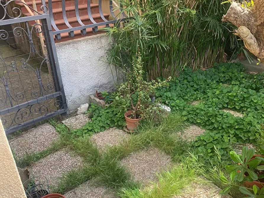 Immagine 19 di Appartamento in vendita  a Piombino