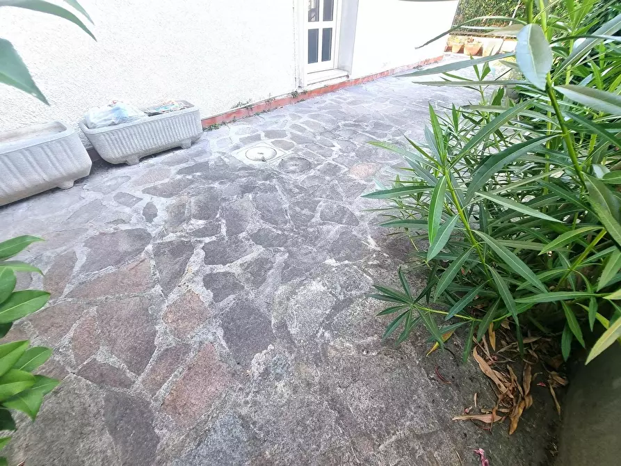 Immagine 2 di Casa bifamiliare in vendita  a Viareggio