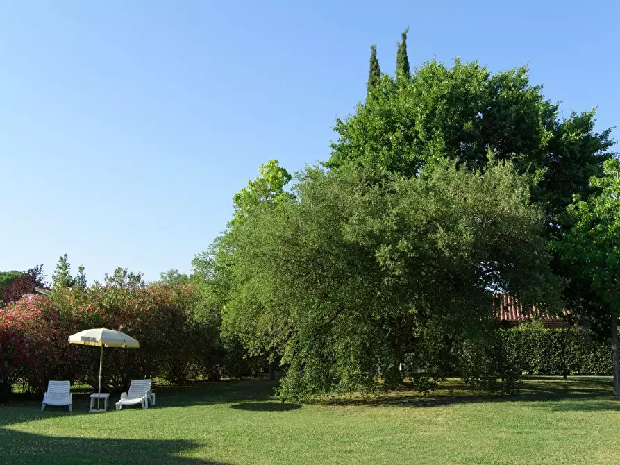 Immagine 8 di Villa in vendita  a Pisa