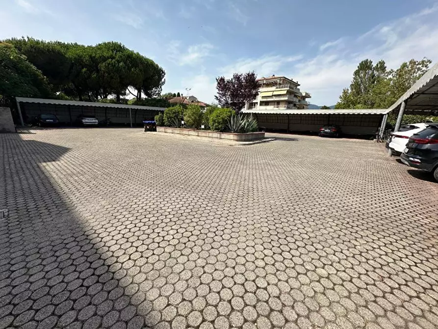 Immagine 20 di Appartamento in vendita  a Carrara
