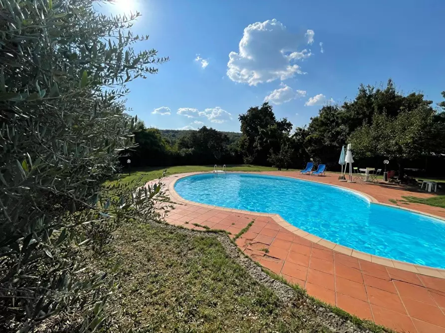 Immagine 11 di Appartamento in vendita  a Sovicille